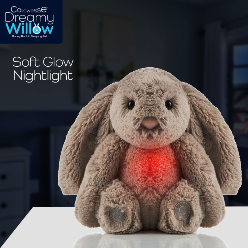 Dreamy Willow Nightlight